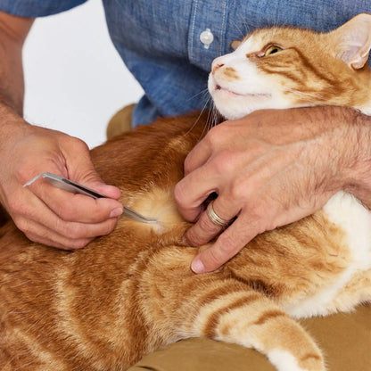 TWE PET TICK REMOVAL KIT
