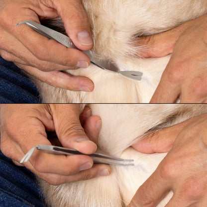 TWE PET TICK REMOVAL KIT