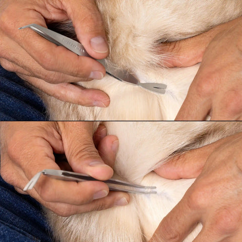 TWE PET TICK REMOVAL KIT