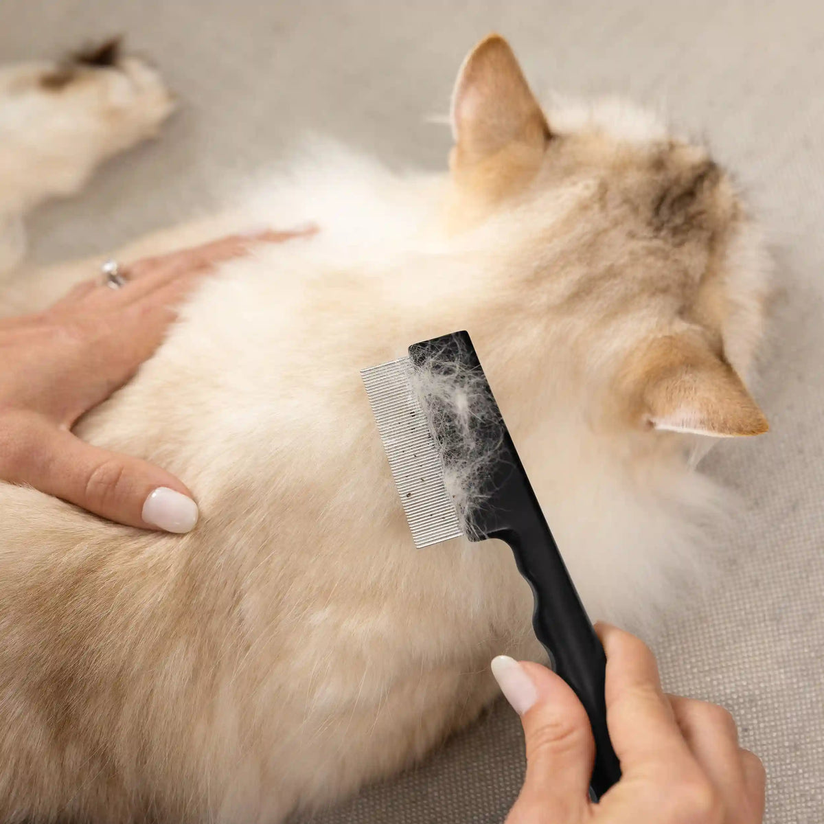 PET PRECISION SINGLE ROW FLEA COMB