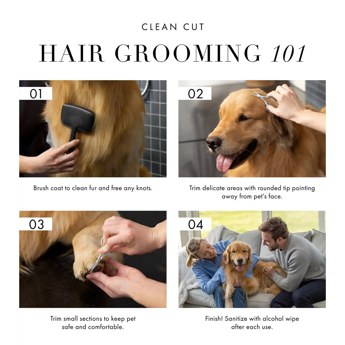 Pet Safety Tip Trimming Scissors