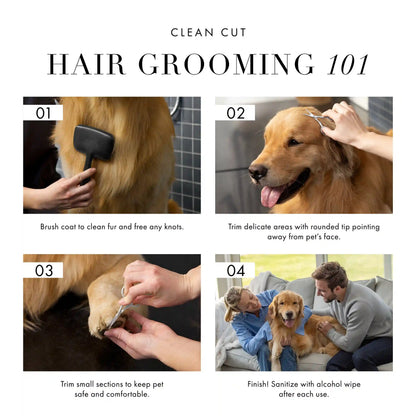 Pet Safety Tip Trimming Scissors