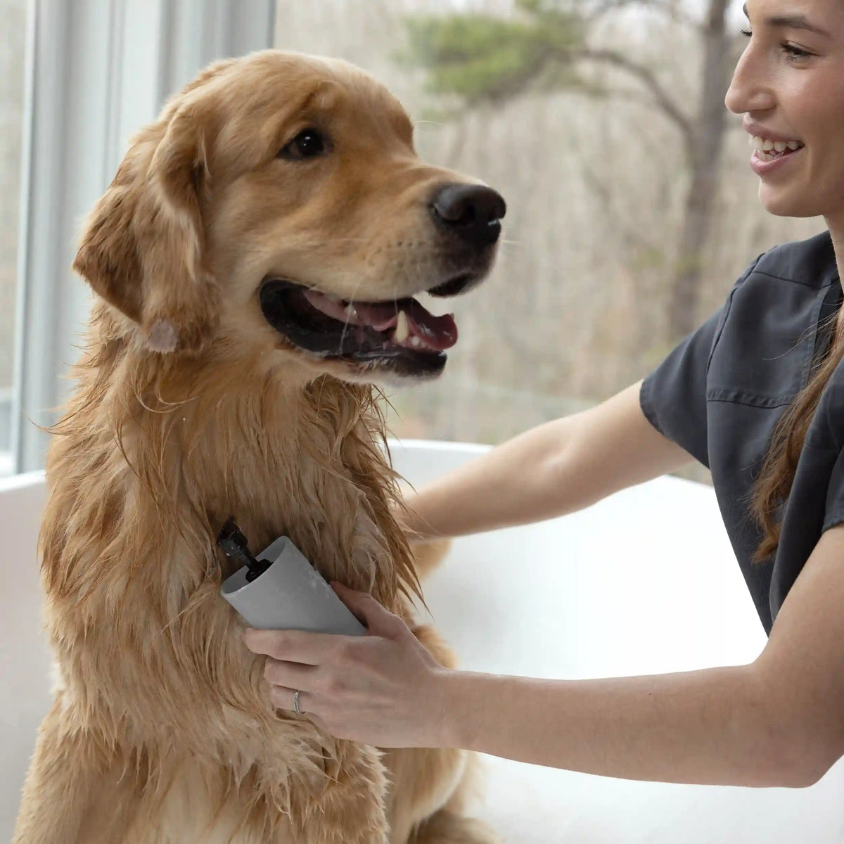 Pet 2-In-1 Shampoo-Dispensing Bath Brush
