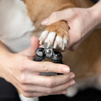 Small Precision Nail Clipper for Pets