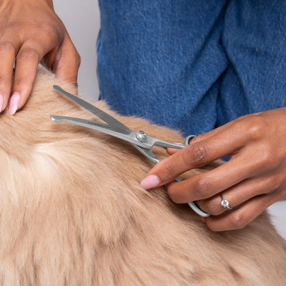 Curved Grooming Shears 7"